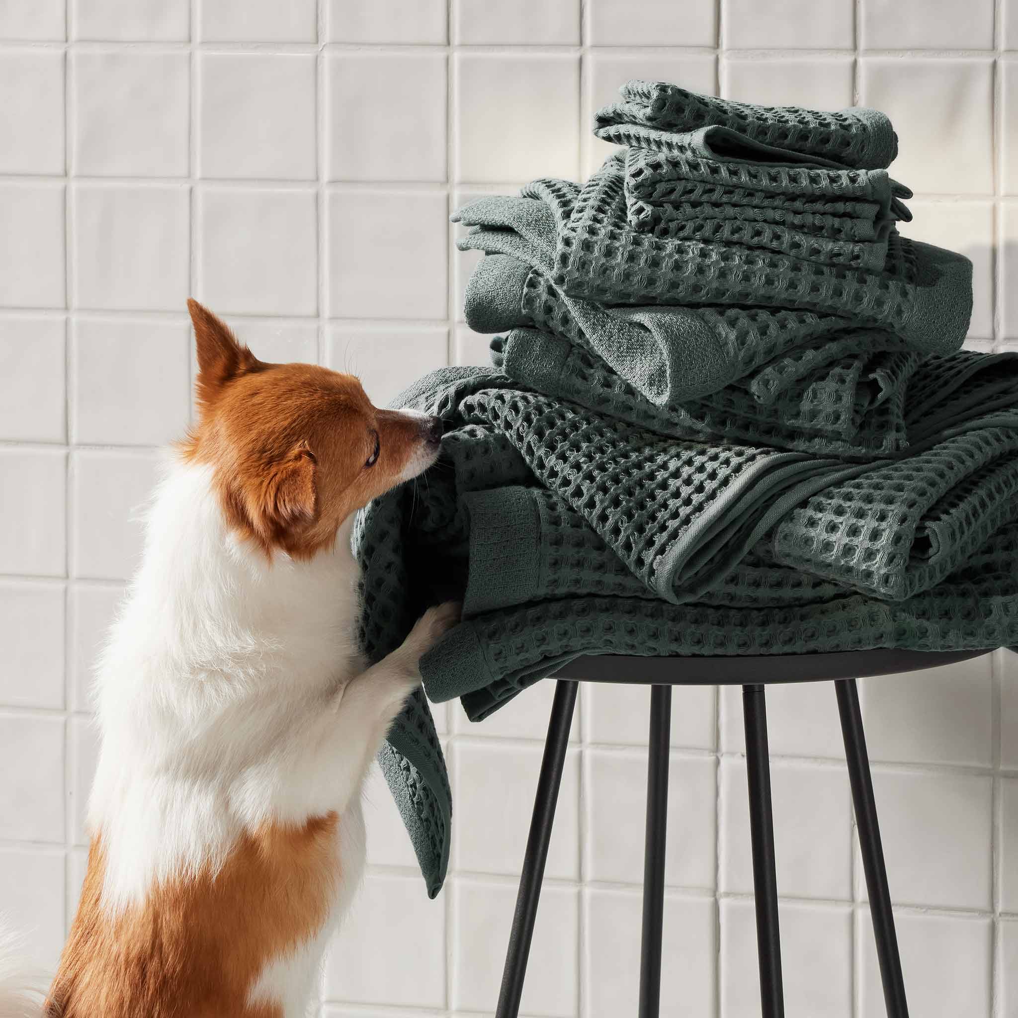 Dreamweave Waffle Hand Towels Set of 2 - Last Call