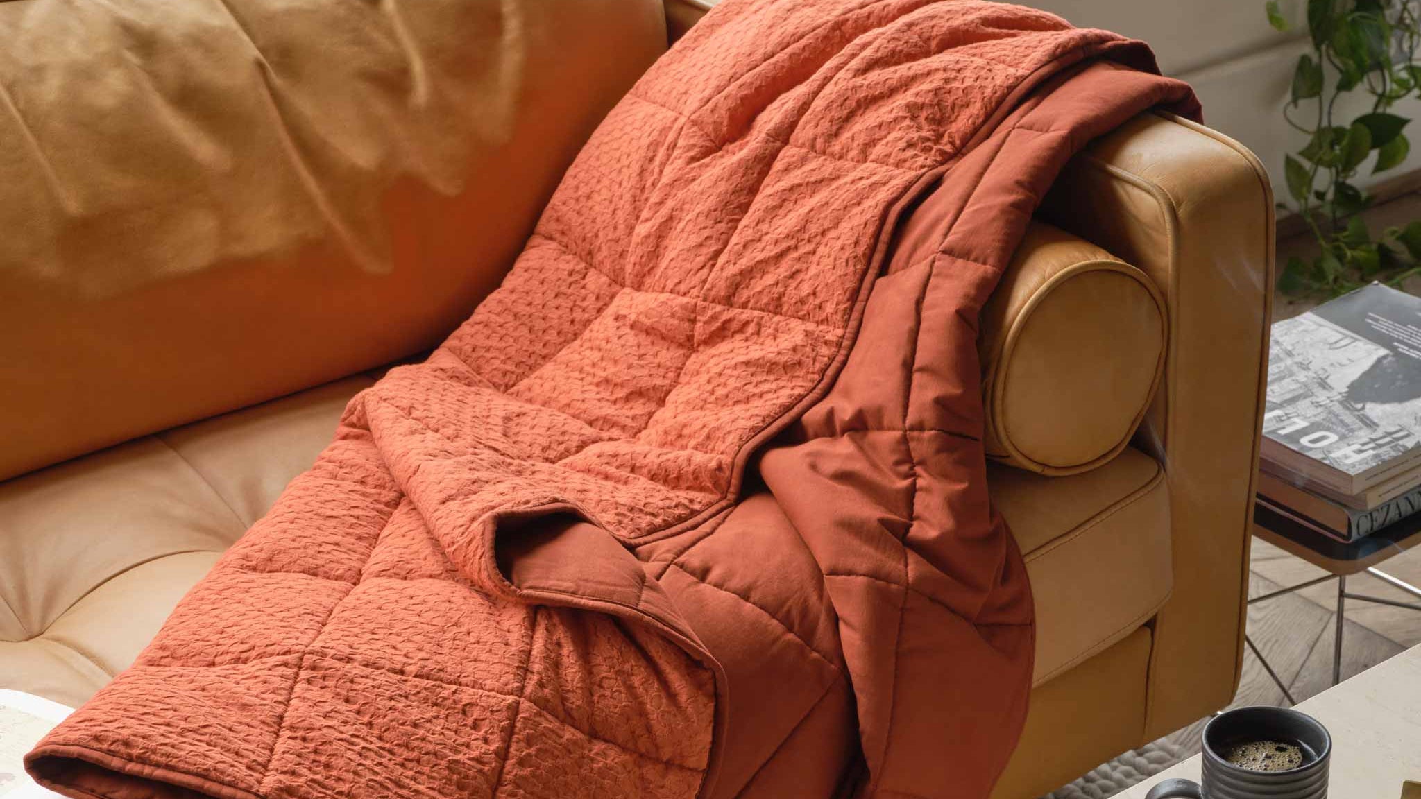Weighted Throw Blanket
