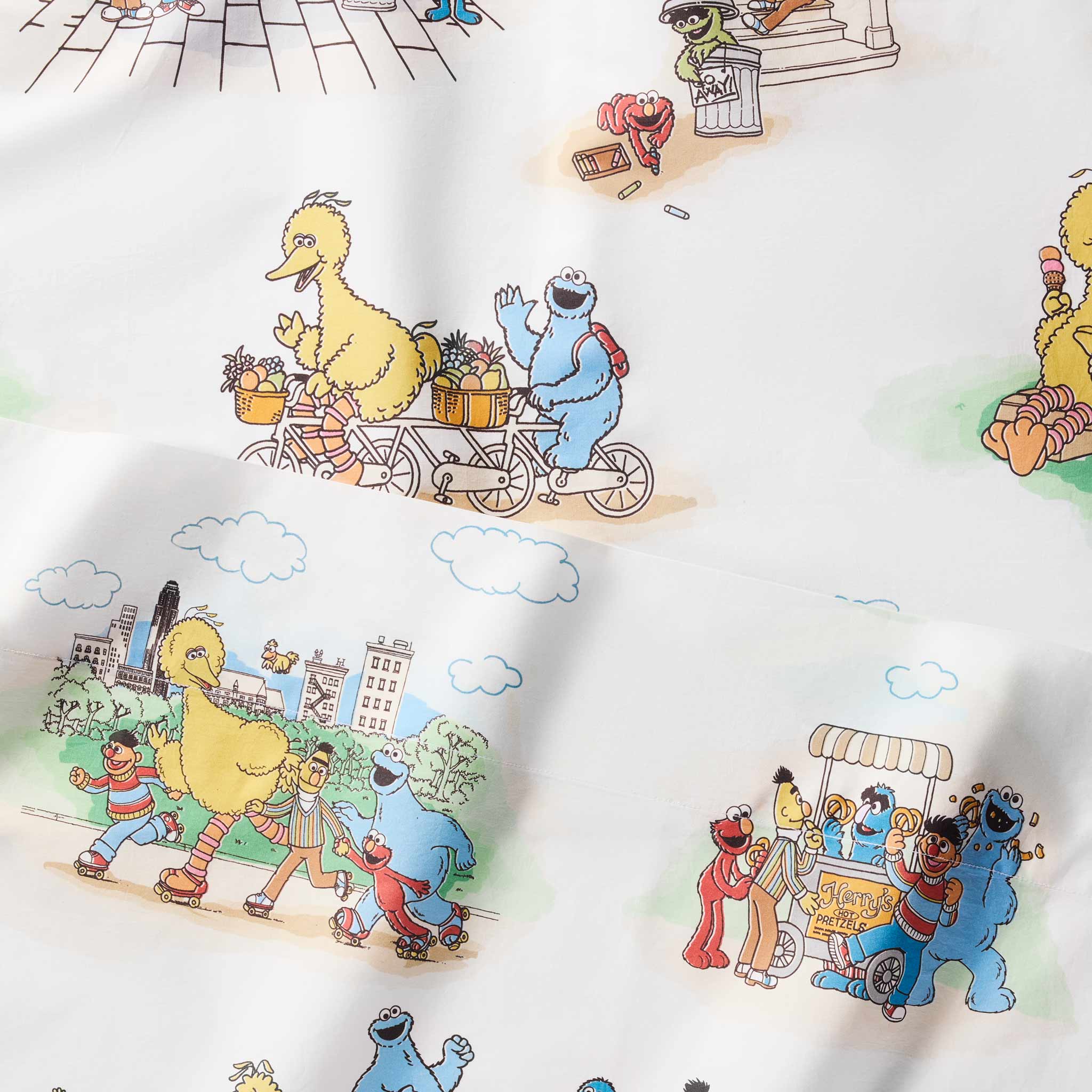 Sesame Street® Pillowcase Set - Last Call