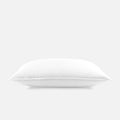 Luxe Sateen Retail Move-In Bundle: Pillows (Choose 2)