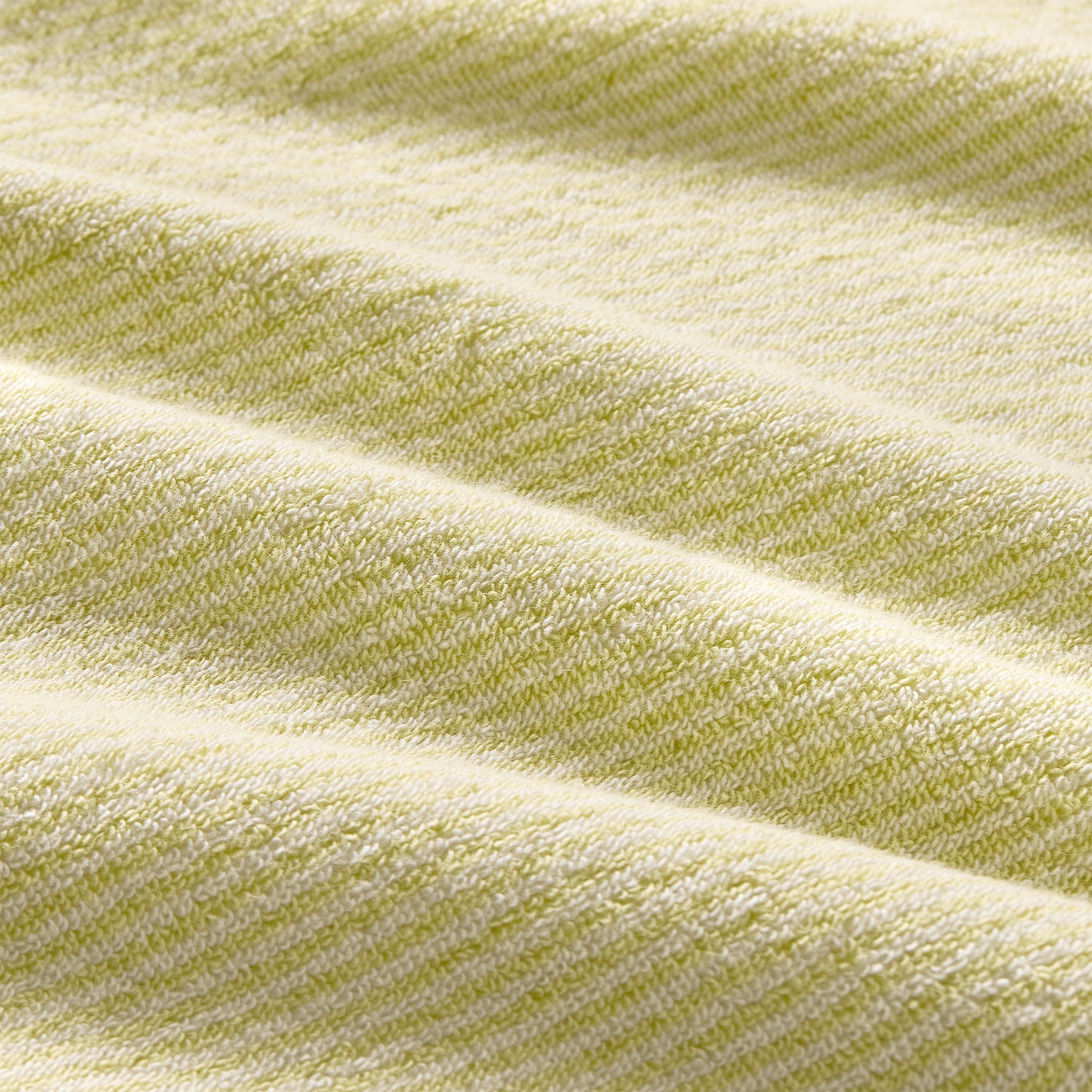 Plush Turkish Cotton Hand Towels Set of 2