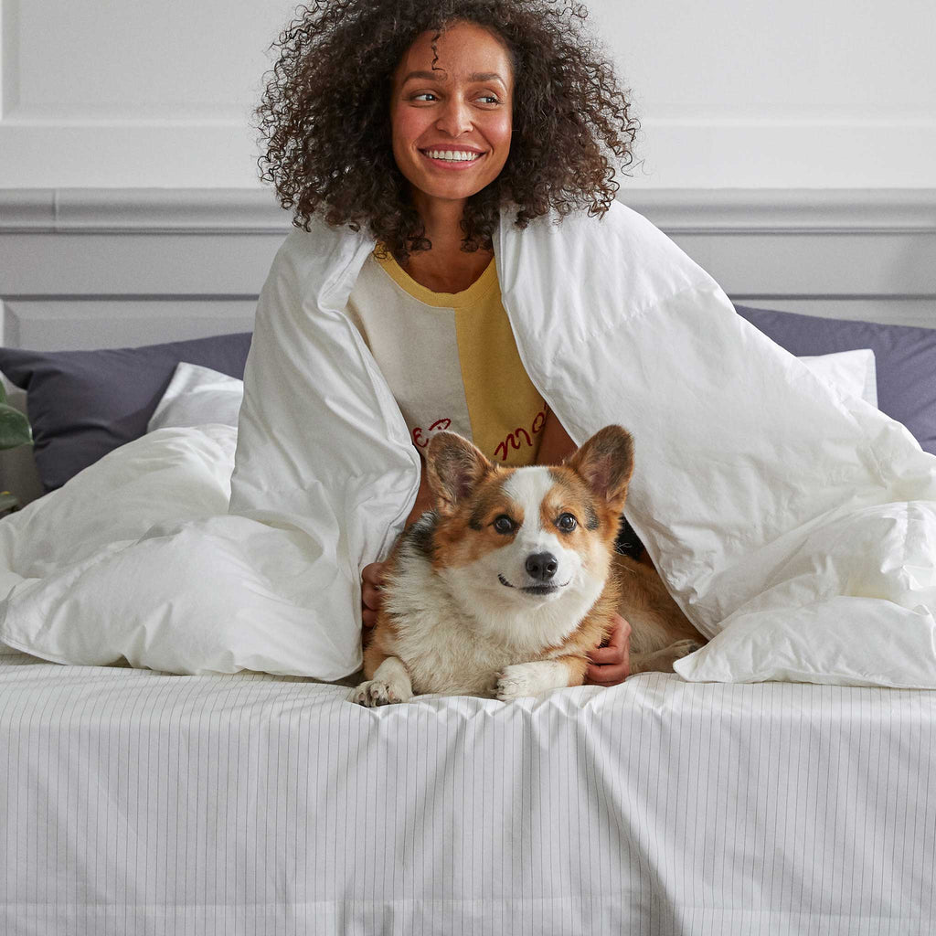 Luxe Sateen Fitted Sheet - Last Call